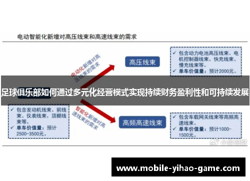 足球俱乐部如何通过多元化经营模式实现持续财务盈利性和可持续发展 足球俱乐部如何通过多元化经营模式实现持续财务盈利性和可持续发展