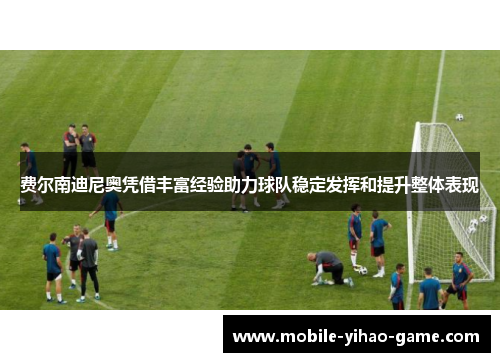 费尔南迪尼奥凭借丰富经验助力球队稳定发挥和提升整体表现