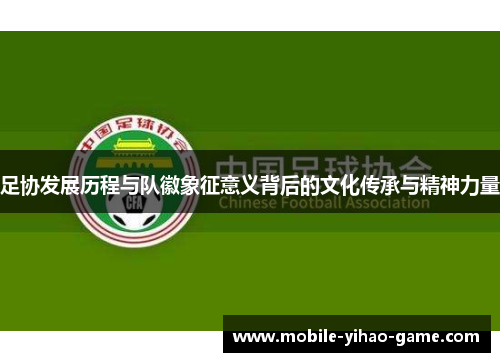 足协发展历程与队徽象征意义背后的文化传承与精神力量